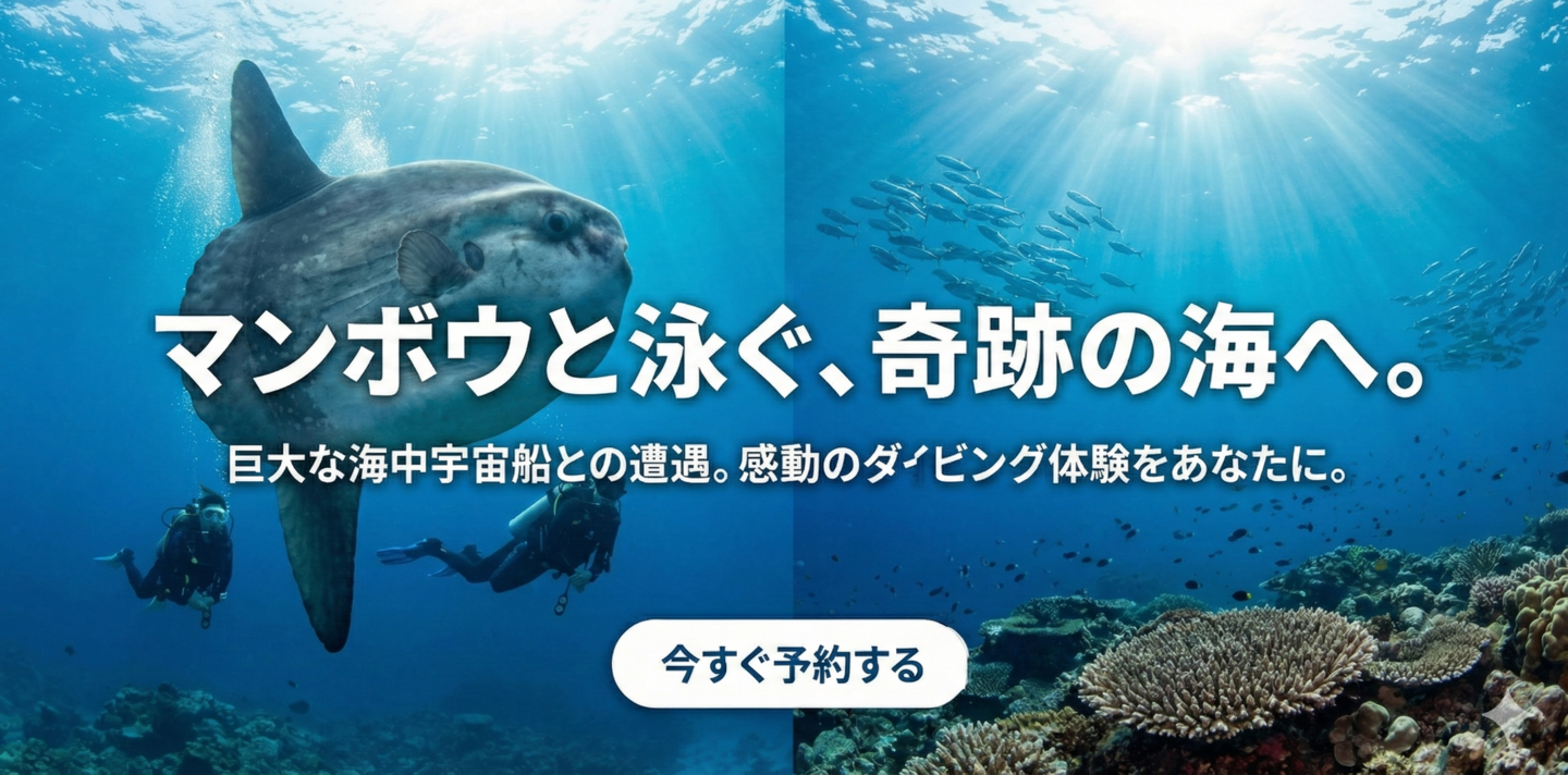 マンボウダイビング予約