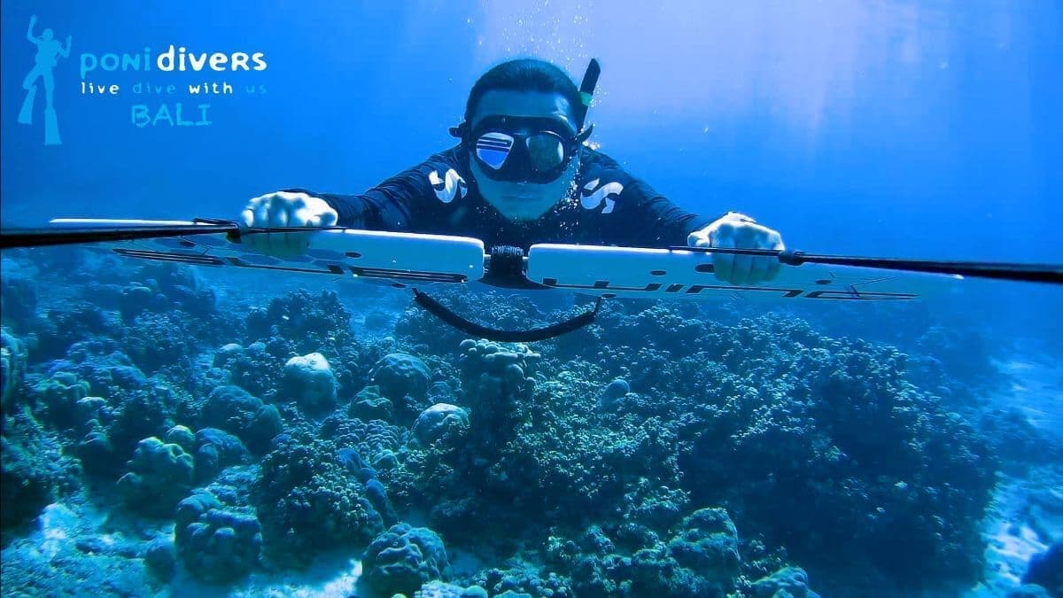 バリ島プロモーションSUBWING