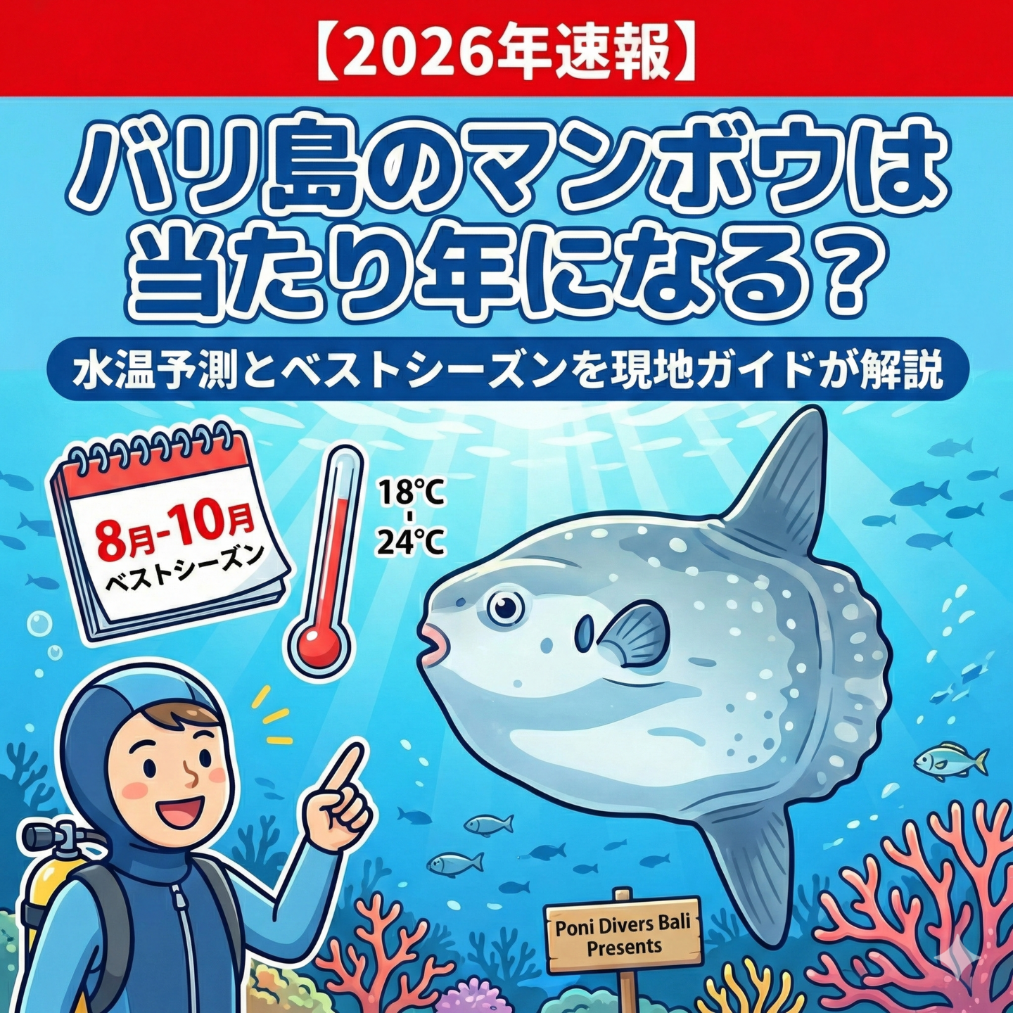 【2026年速報】バリ島のマンボウの当たり年になる？