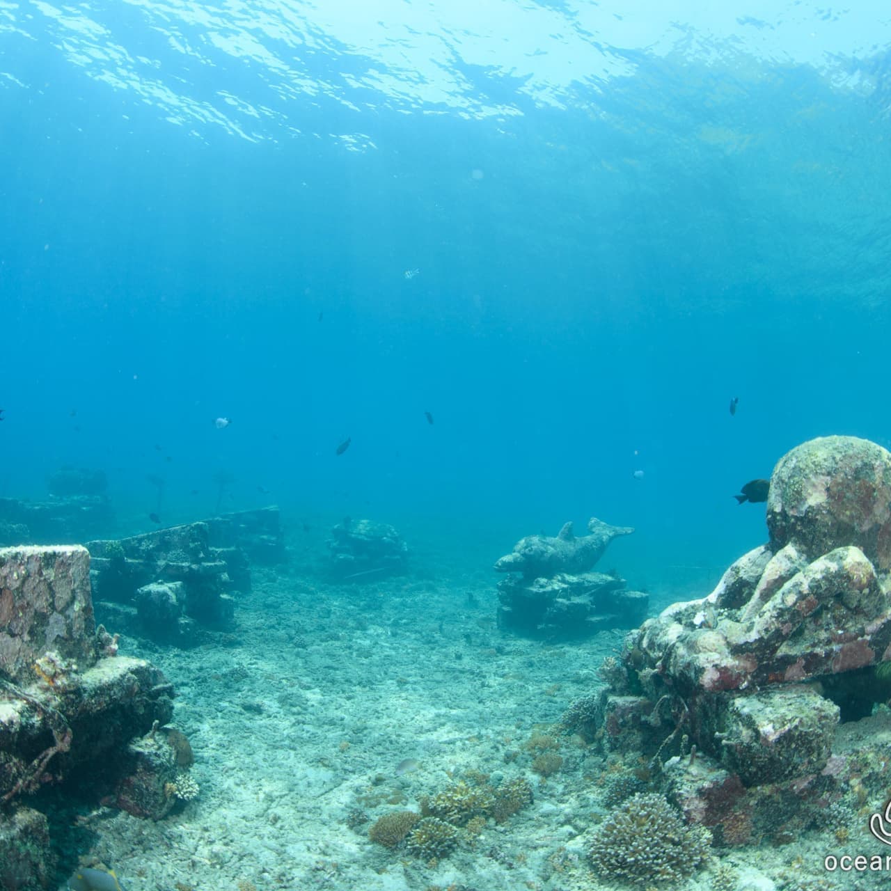 パタンバイ水中