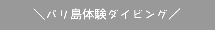 バリ島体験ダイビング
