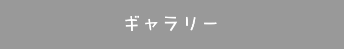 ギャラリー