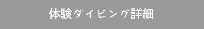 バリ島体験ダイビング詳細