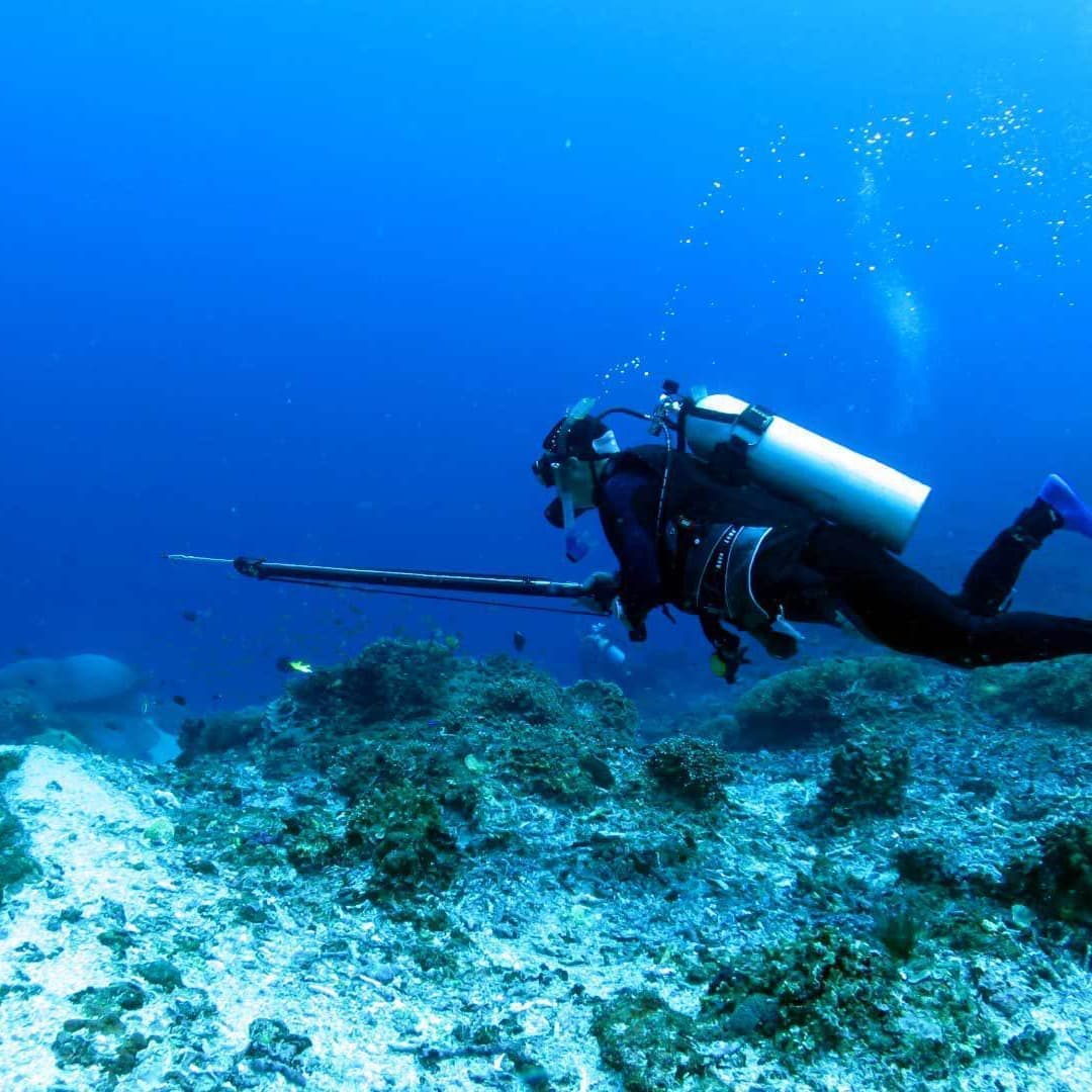 バリ島スピアフィッシング