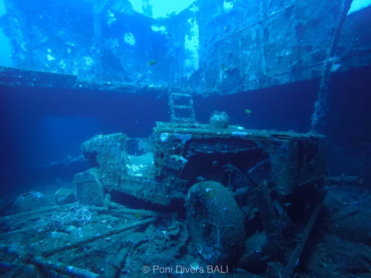 バリ島ダイビング　クブ