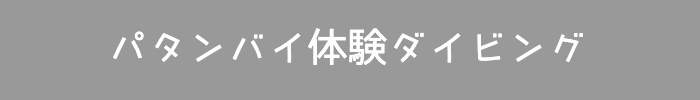 バリ島パタンバイ体験ダイビング