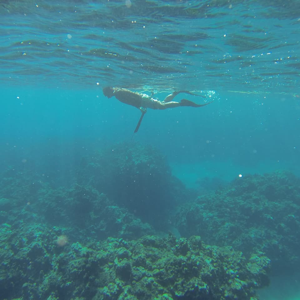 バリ島スピアフィッシング