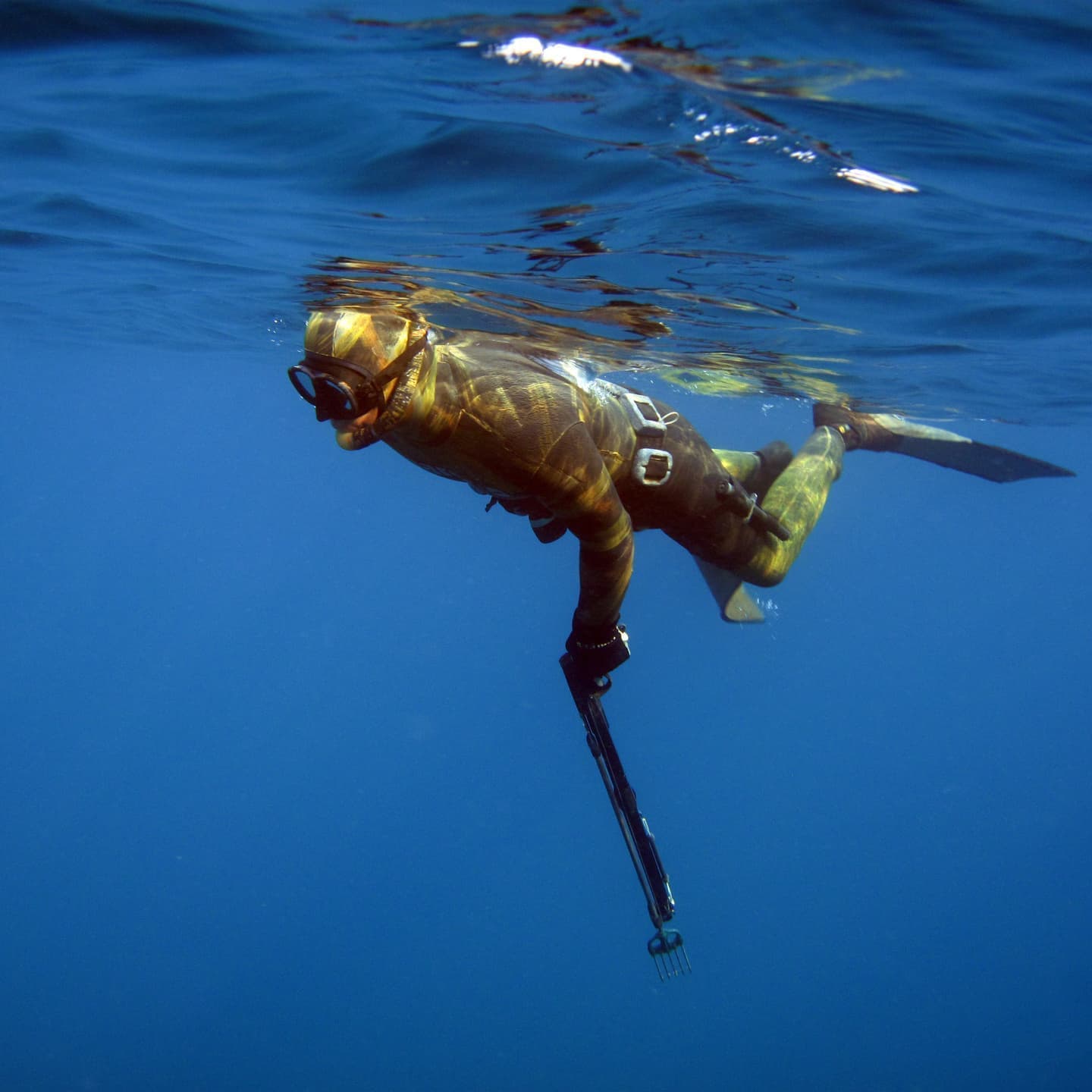 バリ島スピアフィッシング