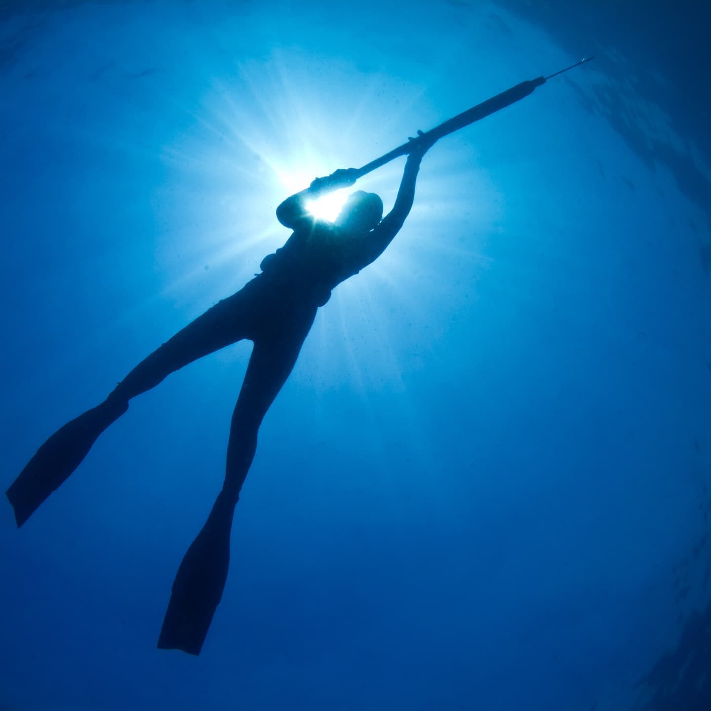 バリ島スピアフィッシング